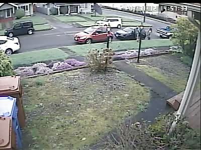 Man defending his Wife from 3 Pitbulls pulls a Knife and Stabs them 