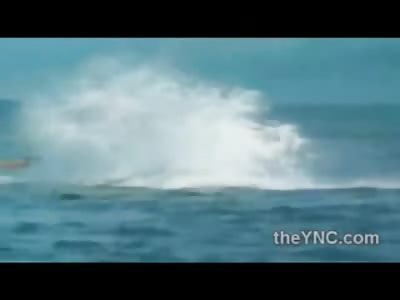 Territorial Whale Crushes man who got in his way