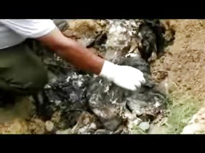 Smelly Rotten Zombie Woman found in the Dirt after 4 Days