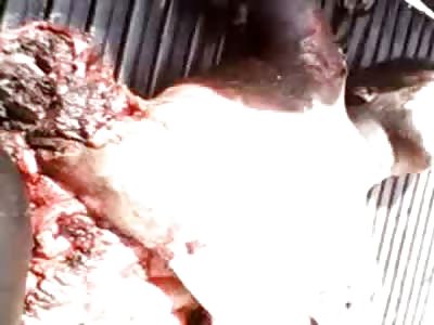 Man Ripped at Half at the Torso is Poked by Curious Onlookers