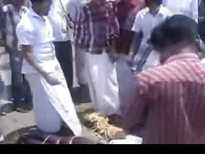 Moronic Protesters with Gasoline and Matches Ends in Pure Hilarity.. Several 1st Degree Burns 