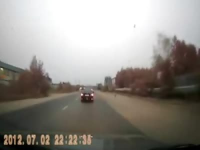 Dog is now 2 Dogs after being Struck by Car