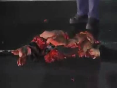 Yea Hi...Did I hit Something (Just Watch the Video) 