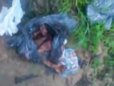 8/9/2012: Man Found Cut to Pieces in Mexico 