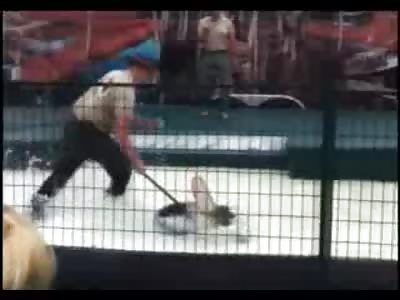 Less than Cautious Trainer Gets Owned by Gator