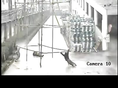 Painters get a Quick Lesson in Electrical Current..