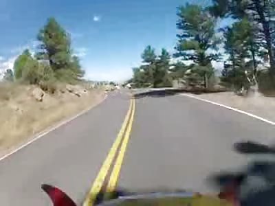 Now that its Officially Hunting Season this Deer Wants to Get Some Revenge ... Runs Head First into Speed Skater During Competion