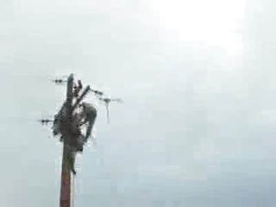 Electrician Dies From Electrical Surge on top of Power Lines