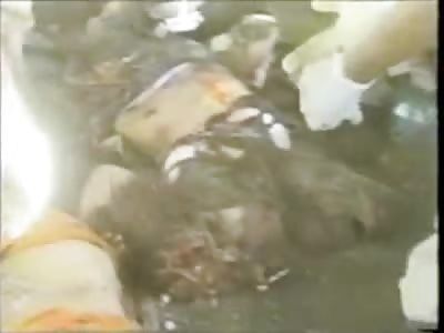 Lady in Yellow and Family Members Torn to Shreds