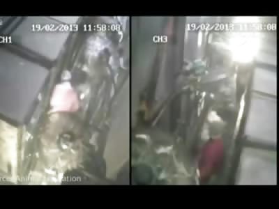 Horrific Acts of Animal Torture at a Turkey Facility in Sydney