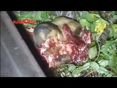 BRUTAL: Train Decapitates and Cuts this Man into Pieces