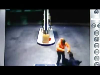 Wild Rottweilers Wreak Havoc on Gas Station and Everyone Thats There