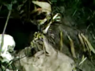 Girls in a Group stumble upon a Skeleton of a Girl Murdered in the Forest