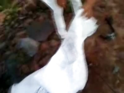 Man Wrapped up in Car after Accident with a Grain Truck