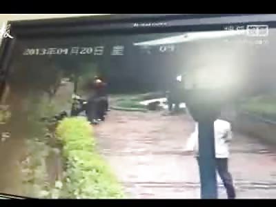 Raging Mastiff is Killed by Workers with Pipes and Bats After Attacking 20 People and Other Little Dogs