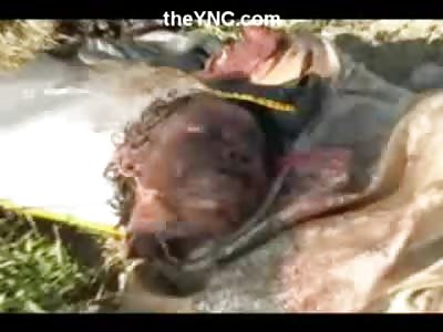 News Reporter Takes us on a Walk Piece by Piece of Dismembered Man.....From Head to Toe