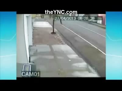 Bizarre and Brutal Fatalities When a Bicycle, Car and Tree Collide 