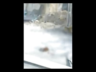 Sad Video shows a Man trying to Save a Mother being Shot Dead in the Street 