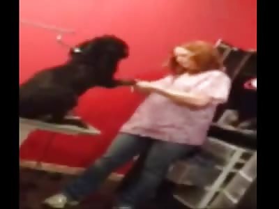 Someone Please find This BITCH! Female Dog Groomer Beats and Brutalizes Poor Dog Getting Groomed