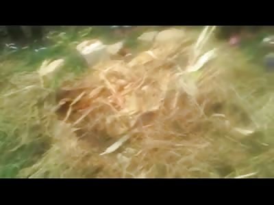 HELL TO PAY ...Youth in Basketball Jersey is Set on Fire, Stoned, Beaten and Laughed at as he is Dying