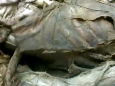 Honduras Morgue Littered with Unclaimed Murder Victims (USER UPLOAD)