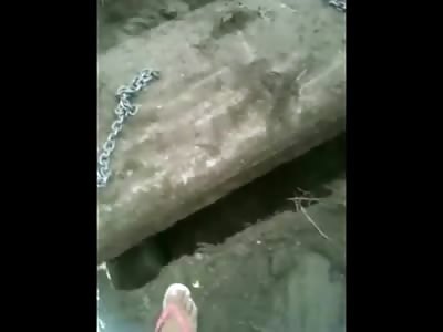 Bizarre Video of a Family that Digs up their Son after 15 Years Dead