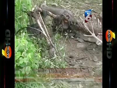 what do you say guys, is a man or woman?