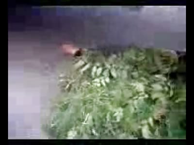 Woman is Split up and Crushed and just all Sorts of Fubar