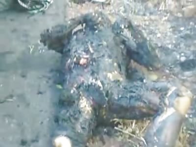 Man Still Sizzling after Being Burned to Death by Hitting an Electrical Pole