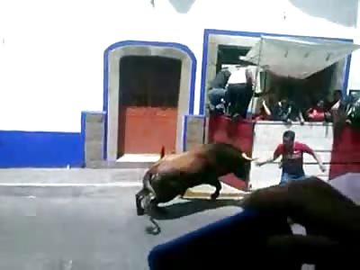 Pissed off Bull Getting some Well Deserved Revenge