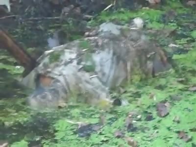 Floating Man is Pulled from Algae Waters Stiff as a Board