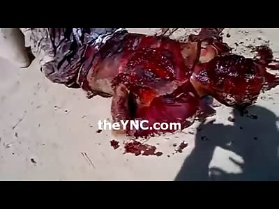 Suicide Bomber Fails...Blows Himself up