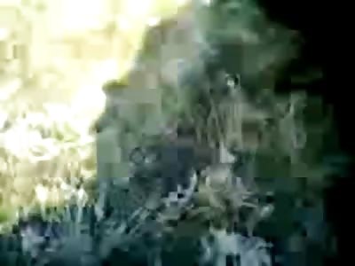 She Really Enjoys Every Minute of Family Time