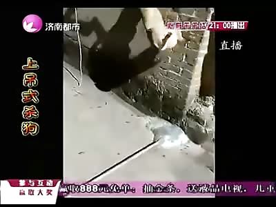 Scum of the Earth Hangs a Dog......Someone Find this Dude and Torture him!!