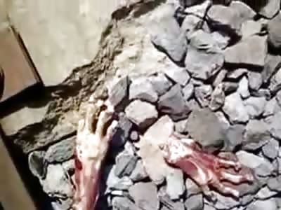 Strange Creature killed by Train in Mexico