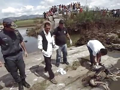 Full Skeleton Fished out of the Murky River Water 
