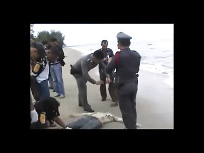 Swamp Man Was Fish food 