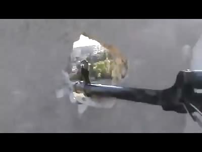 Great Sniper Video Shows man Picked off From A couple Football Fields Away