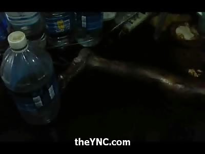 Woman Found Dead and Decomposing