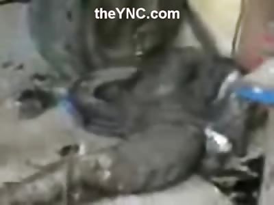 Blackened Thief Tied up and Whipped like a Bad Dog by Enraged Workshop Owner