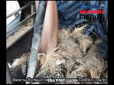 This isnt Gonna End Good...Man has his Hand Caught in Metal Spiked Rolling Machine (Watch till the End)