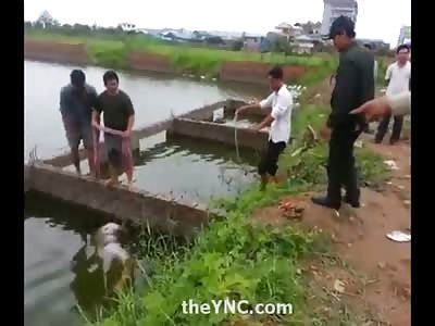 Woman in her Pajamas found Floating Face Down in the Water
