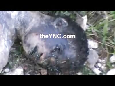 Sad Video of Boy Found Dead with Flies Festering 