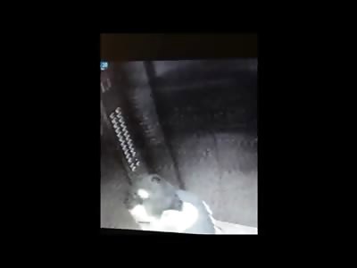  Evangelic Priest beats his Dog in the Elevator