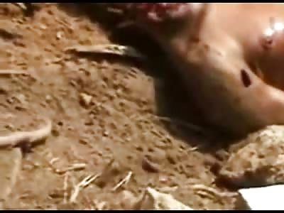 Naked Man found Stoned and Stabbed to Death, Face completely Smashed In