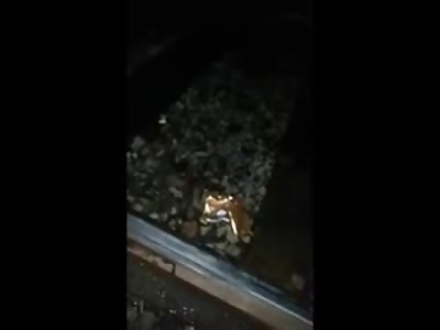 Man Agonizing with his Arm Totally Mutilated From Train....OUCH!