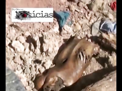 Bizarre Body found in Half Decay, Skin Malting off of Skeleton Face