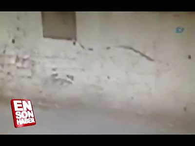 Man pounds the Pavement with Womans Head during Robbery in Turkey