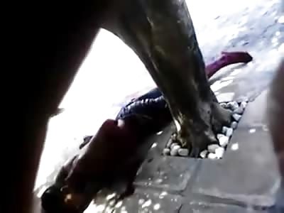 Man Dying in Total Agony after Being Stabbed on the Street