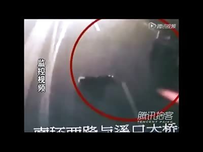 Elderly Woman is Hit on the Highway.... then Run Over 3 More Times while STILL Alive